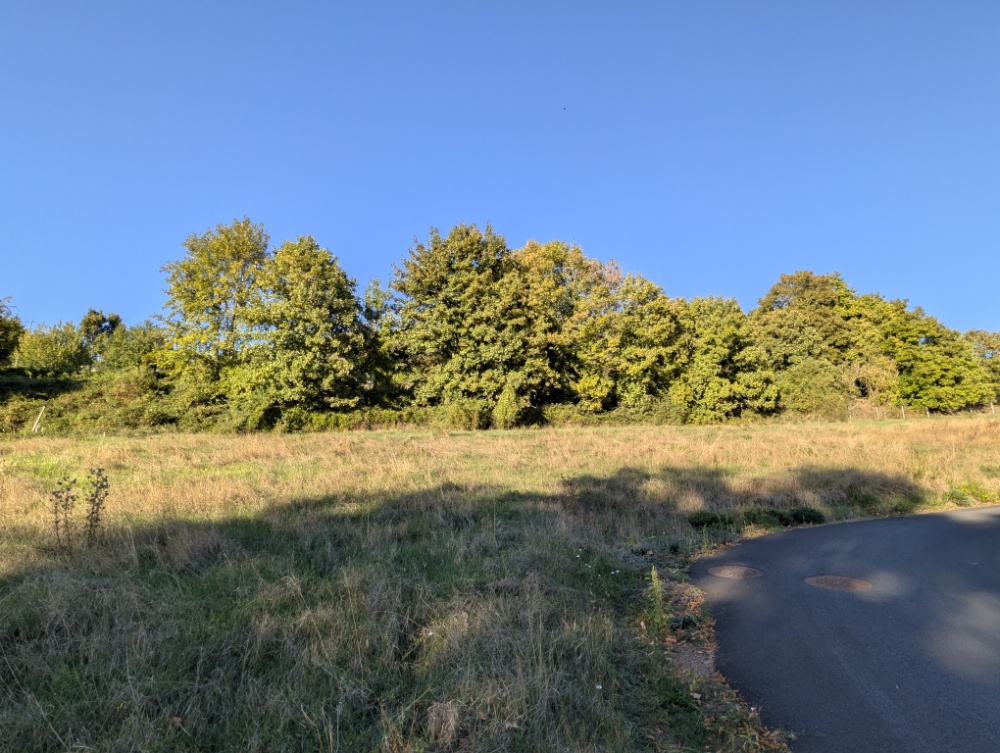 Belle parcelle avec écran végétal