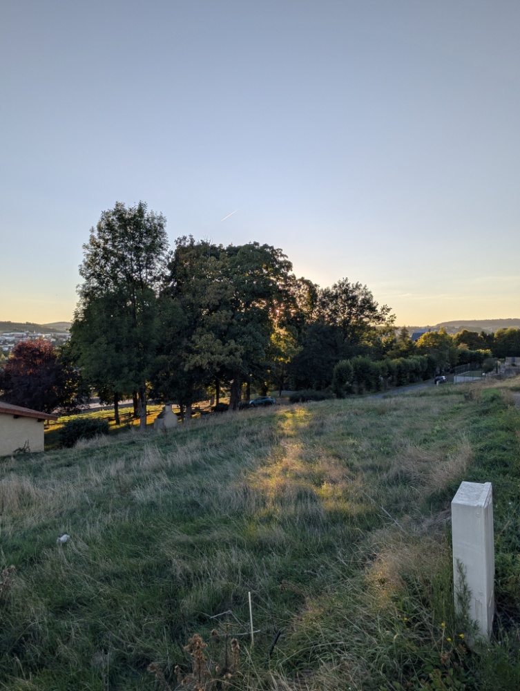 Belle parcelle avec arbres majestueux